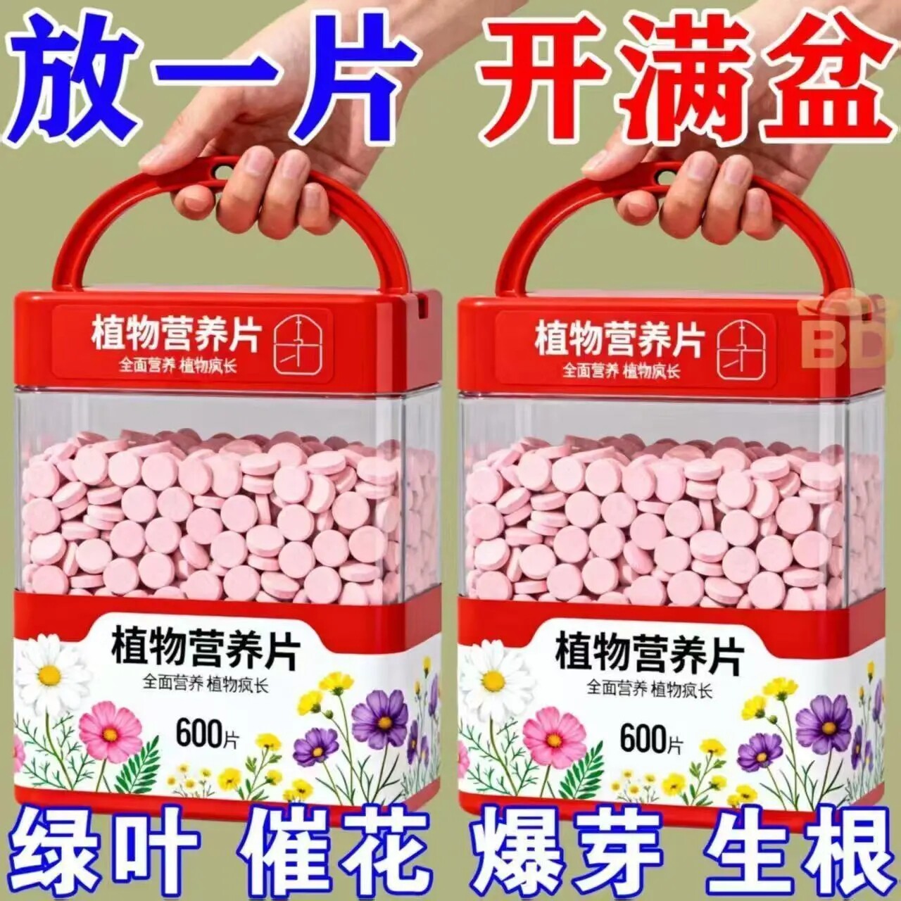 植物养护缓释氮磷钾片