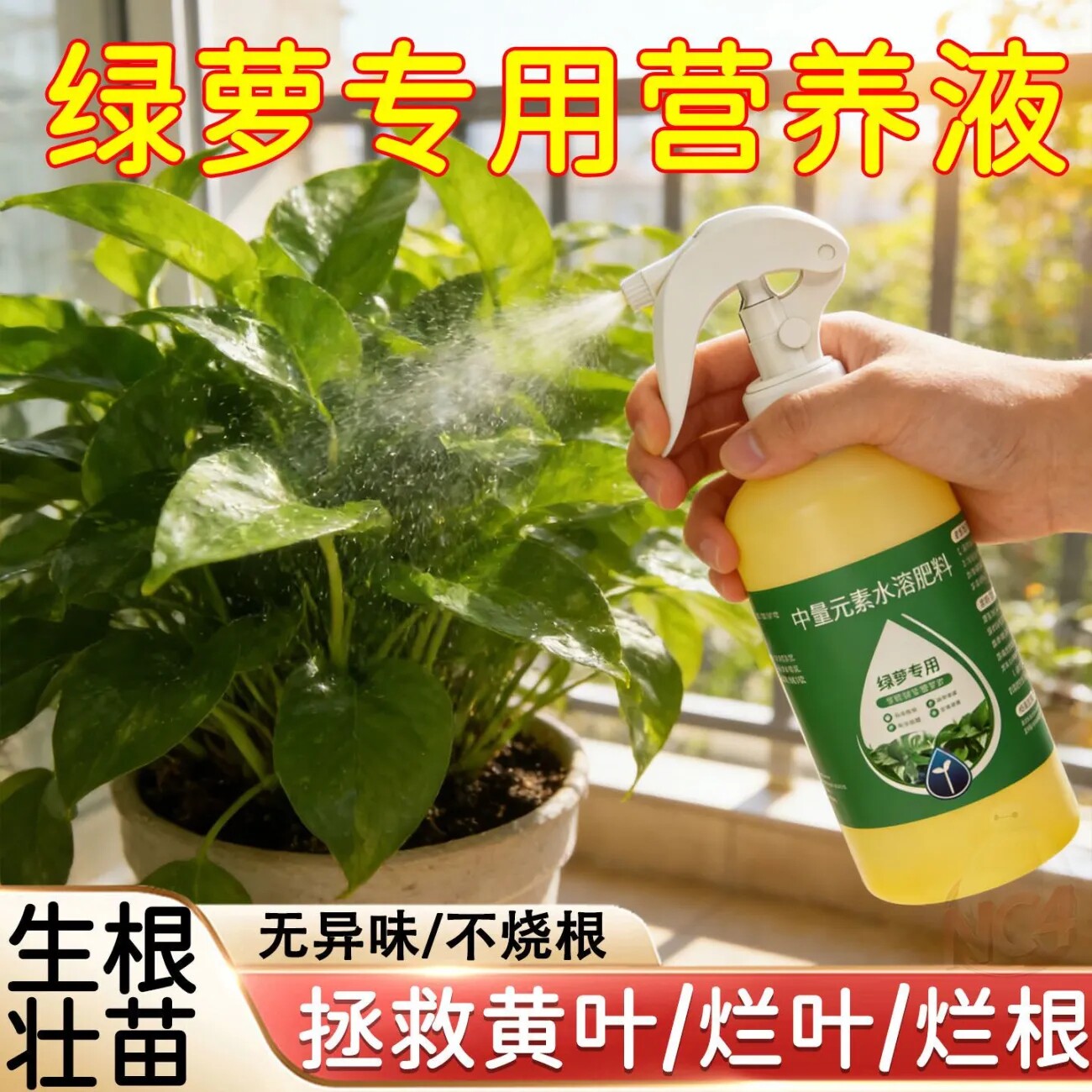 绿萝专用营养液壮苗防黄烂根