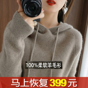 2026新款秋冬毛衣女连帽内搭羊毛衫宽松内搭打底针织带帽羊毛衫