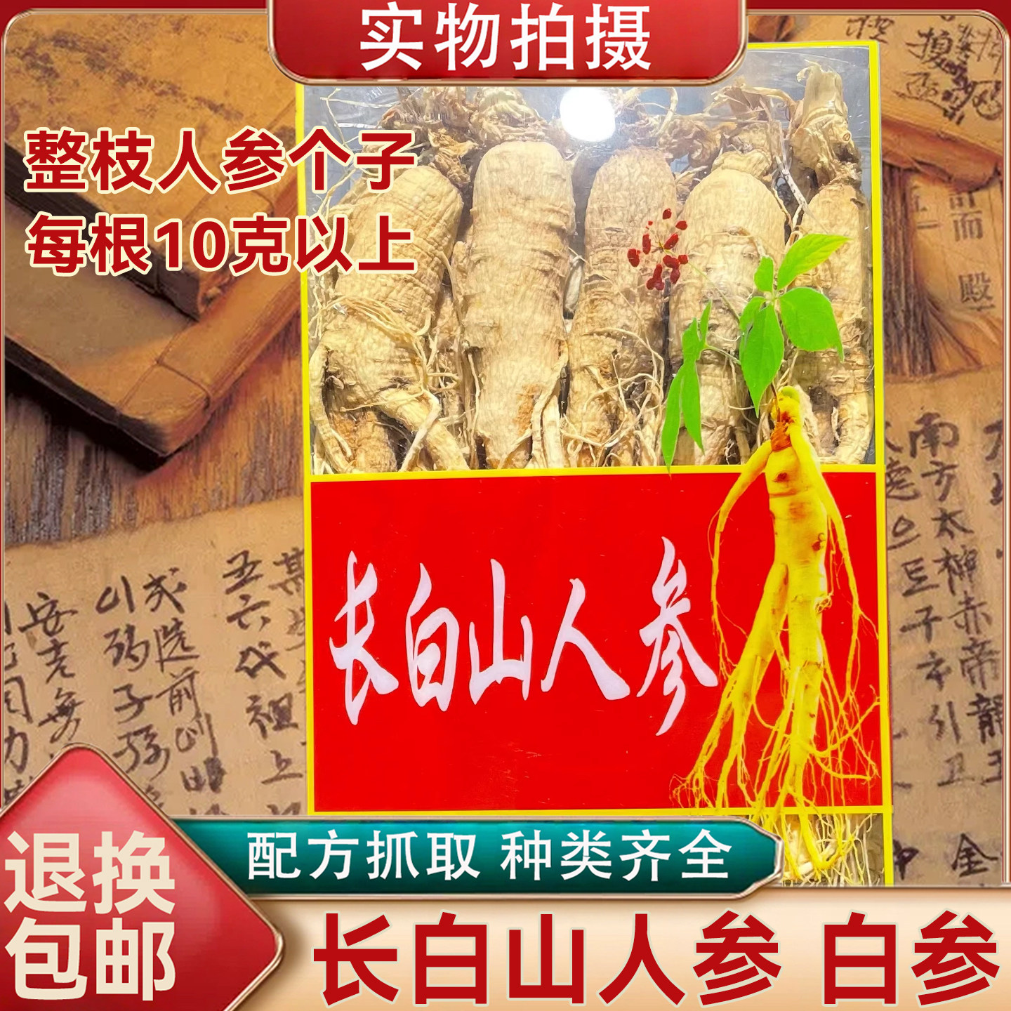 长白山人参白参大个 整枝生晒参东北吉林人单支整枝特大泡酒专用