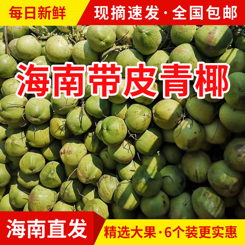 海南带皮青椰子6个装文昌新鲜椰青当季热带孕妇水果天然饮料7包邮