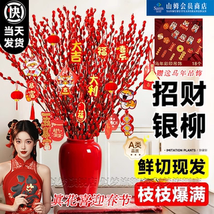 新年银柳鲜枝干花真花红色年宵客厅摆件过年发财果盆栽抱抱桶水培