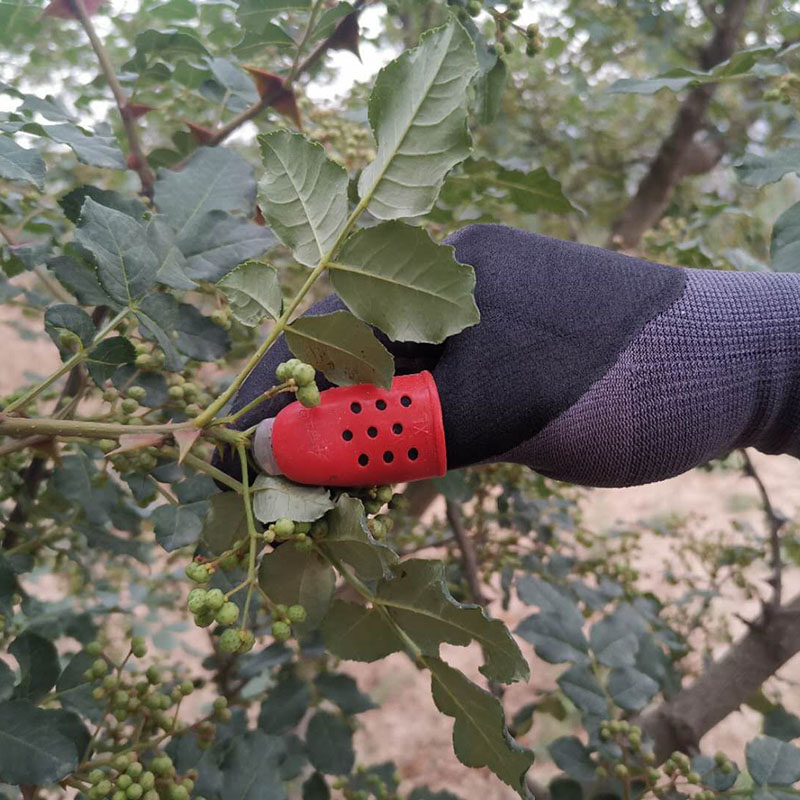 掐菜摘豆角农用拇指刀手套