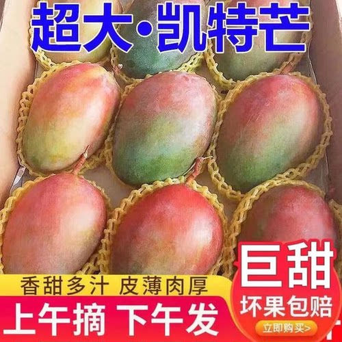 【产地直发】新鲜凯特芒果现摘应当季水果芒果整箱包邮特大青忙果