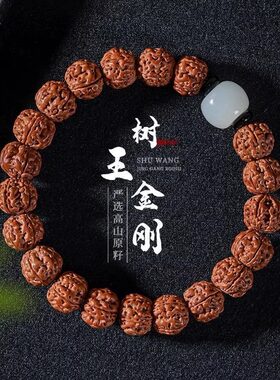 树王小金刚菩提子手串高端单圈男女藏式原色复古盘玩文玩佛珠手o2