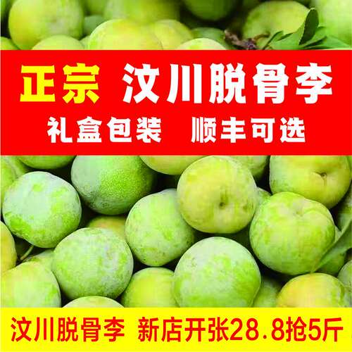 四川汶川茂县青脆李脱骨李孕妇水果现摘现发巫山江安脆李全国包邮
