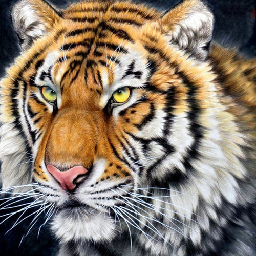 虎头纹身素材模板 虎头纹身图片下载 小麦优选