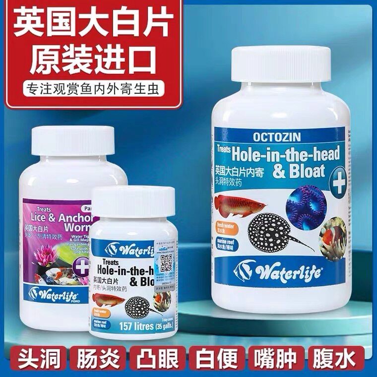 正品英国大白片鱼药龙鱼用水族罗汉观赏鱼肠炎厌食内寄头洞外寄病