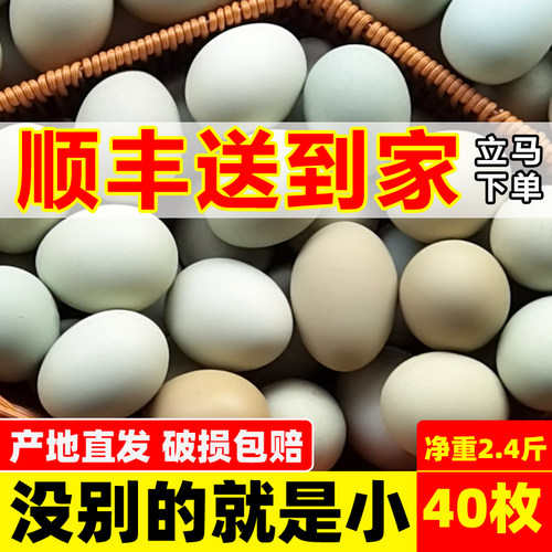 顺丰包邮丨绿壳山鸡蛋40枚