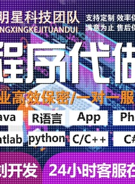 代码编写java系统开发Python代做c/c++程序代编程c#设计R语言接单