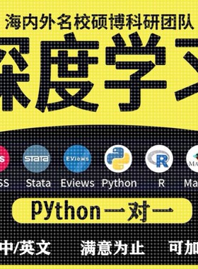 python深度学习机器优化算法代做跑编服务代码指导编写调试接单
