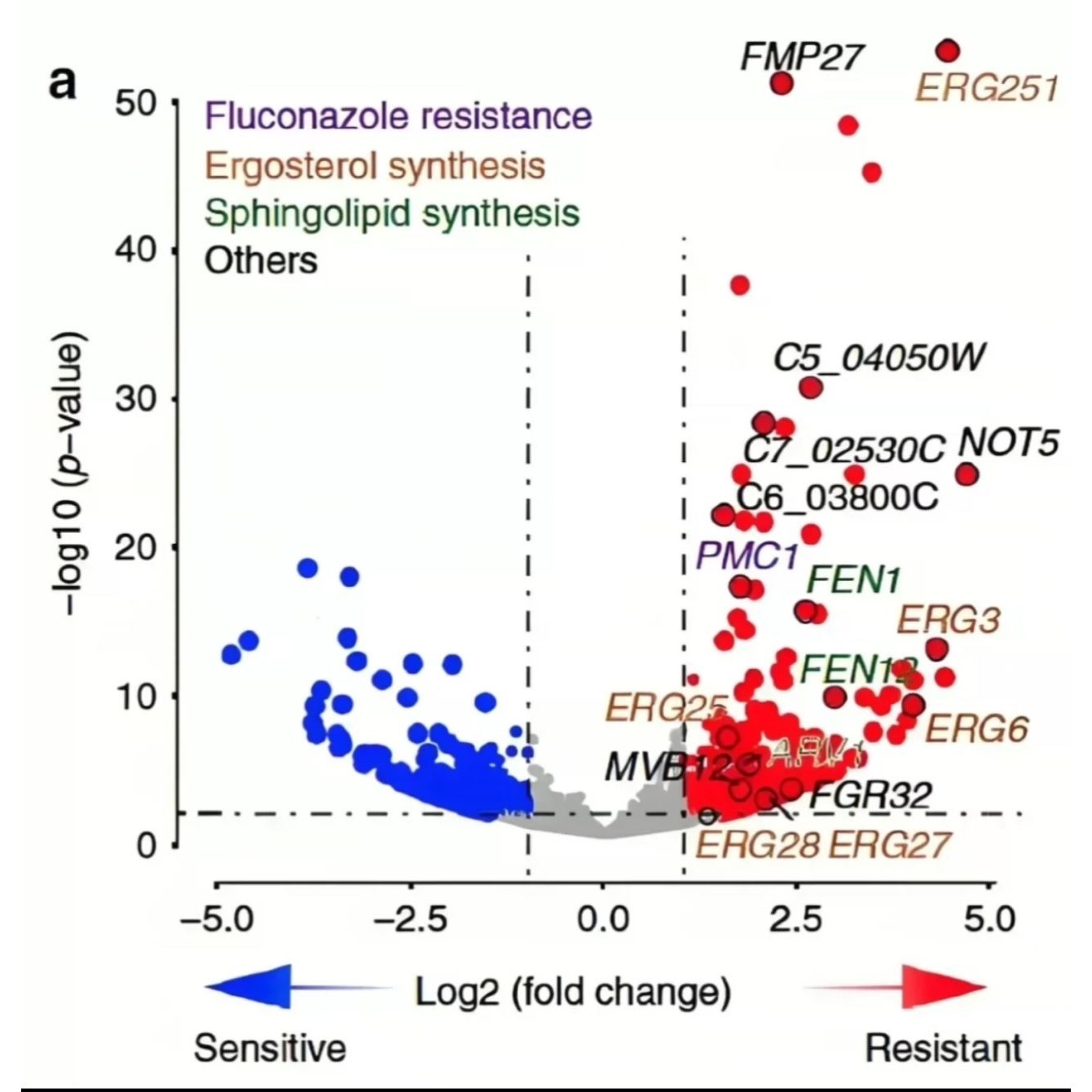 R语言绘制SCI科研图Rstudio绘图数据源代码roc源码生物pca源文件