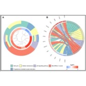 GEO单细胞转录组 TCGA 多组学 火山图绘制 孟德尔随机化