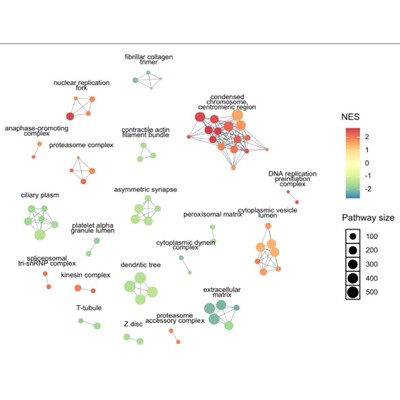多组学联合分析 miRNA 肿瘤相关性