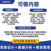 分析指导一对一讲解孟德尔随机化解信meta医学R服务