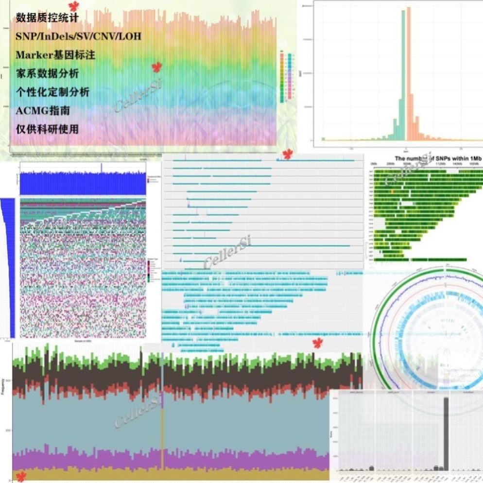 网络药理学 中药复方 分子对接 药物靶点筛选 分析作图 多味药