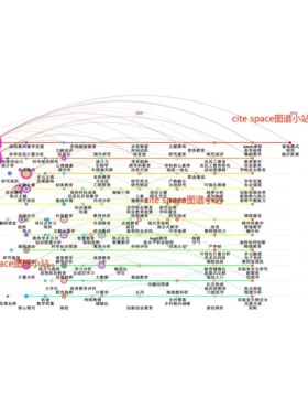 Citespace高级版作图/可视化代做/可视化分析