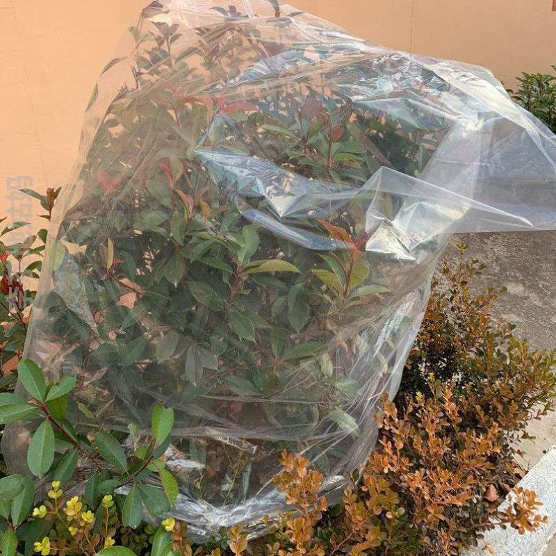 花卉香蕉罩防寒袋罩]塑料室外果树套袋树木薄膜防冻保暖植物保温