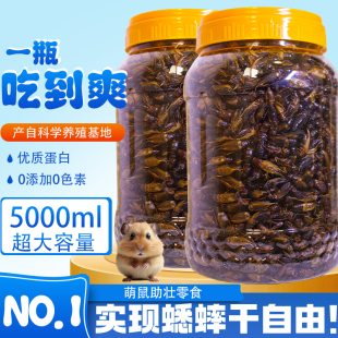 蟋蟀干爬宠守宫豹纹睫角粮食蜥蜴鬃狮蜥蛐蛐干角蛙零食用品营养