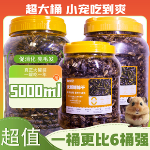 蟋蟀干爬宠守宫豹纹睫角粮食蜥蜴鬃狮蜥蛐蛐干角蛙零食专用食品