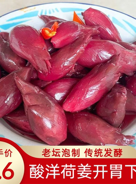 酸洋荷姜腌制泡菜新鲜阳荷姜洋火姜下饭菜陕南安康土特产湖北恩施