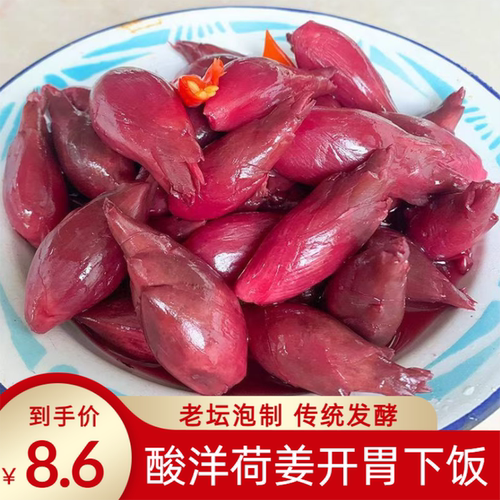 酸洋荷姜腌制泡菜新鲜阳荷姜洋火姜下饭菜陕南安康土特产湖北恩施