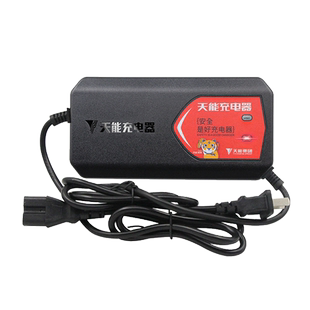 天能智能电动车充电器48V60V20AH72v20V96V爱玛雅迪电瓶车充电器