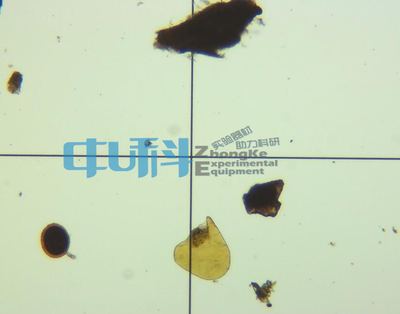 浮游生物计数框0.1ml藻类计数细胞计数板1ml浮游动物蛔虫卵计数板