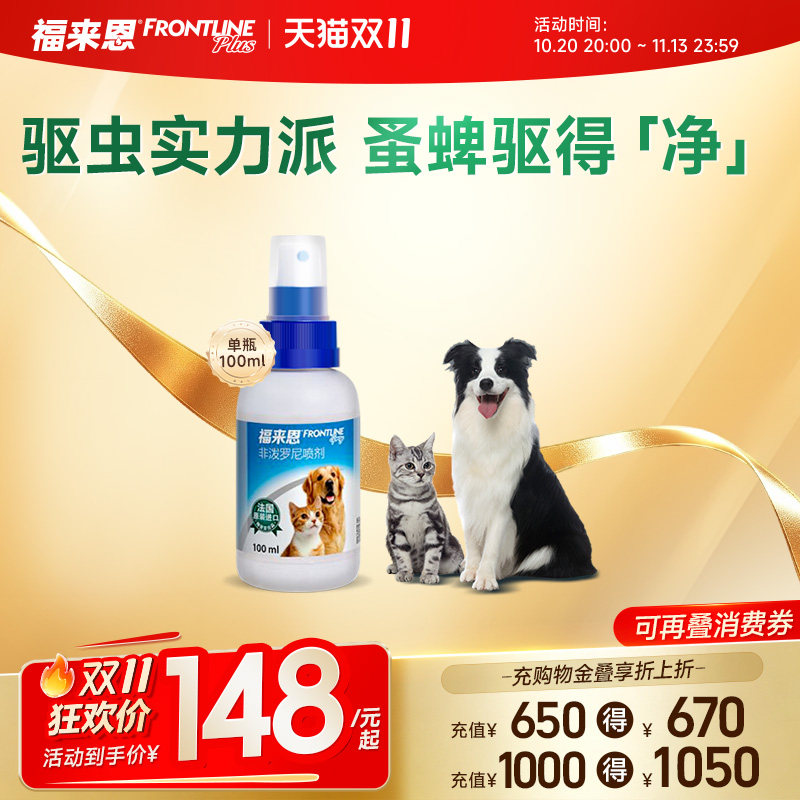 捡来的“绝世美颜”：流浪猫狮子的逆袭之路（最后多猫片慎入）