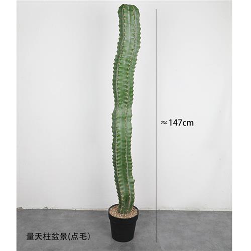 仿真仙人柱大型沙漠植物北欧仙人掌仙人球假绿植室内场景橱窗装饰