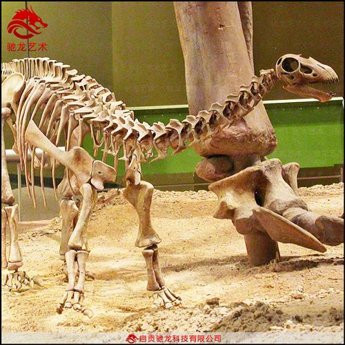 仿真雷龙梁龙化石大型恐龙骨架化石动物骨头化石展品定制骨骼标本