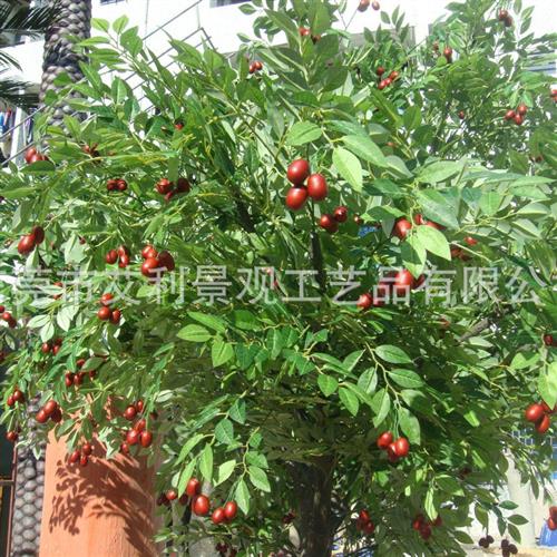 核桃树植物人造大型塑料开心果树红枣树园林景观装饰树景观树