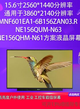 MNF601EA1-6B156ZAN03.R NE156QUM-N63 NE156QHM-N61方案面板屏幕