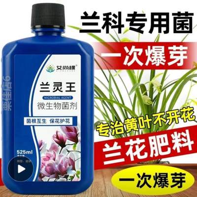 绿萝花植物幸福花肥室内培植花肥}生根碗莲盆栽防治液肥通用黄叶