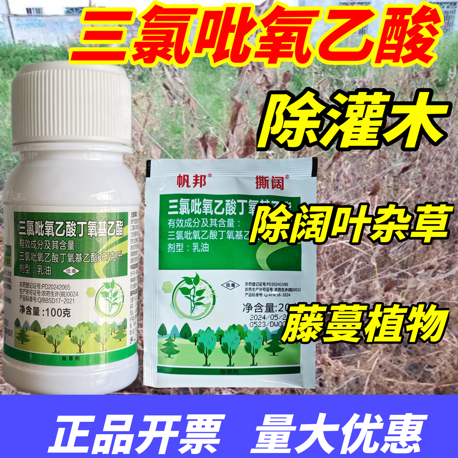 三氯吡氧乙酸灌木恶性阔叶杂草烂根除络石藤除藤蔓除爬山虎除草剂