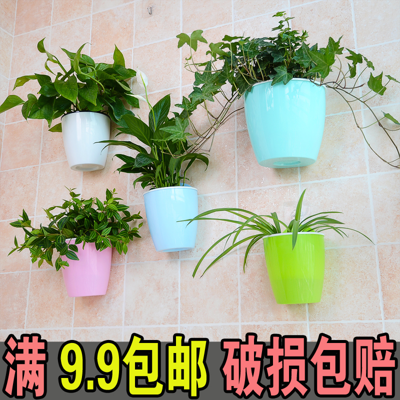 多肉花盆价格 多肉花盆图片 星期三