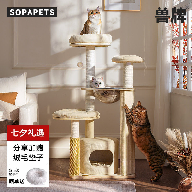 小户型不占地|多猫可用猫爬架