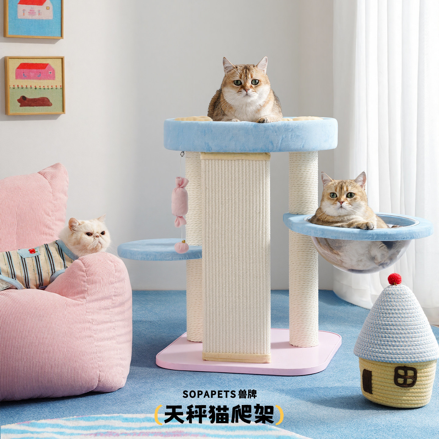 兽牌天秤猫爬架马卡龙小型平台爬架多功能跳台抓柱猫窝一体不占地