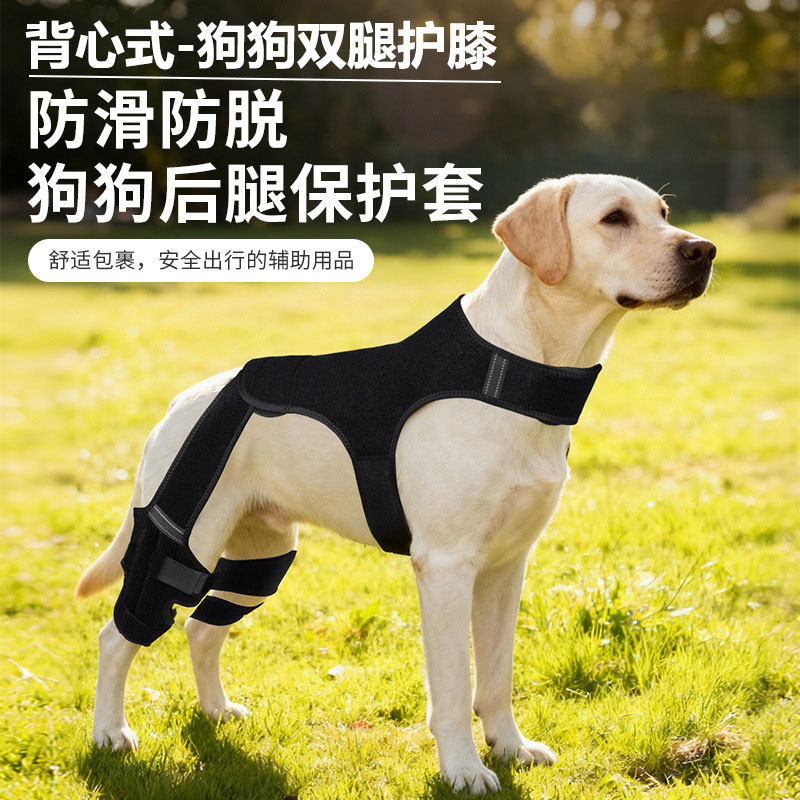 宠物护具背心式后腿髌骨