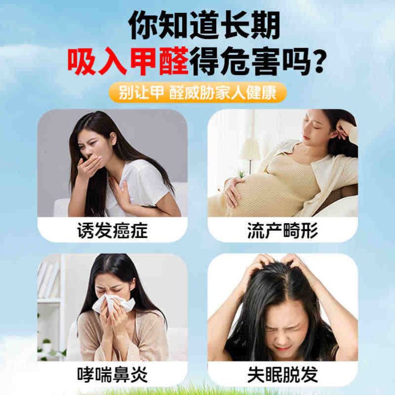云南本草除甲醛喷雾光触媒甲醛清除剂神器新房急入住装修除异味