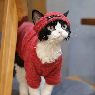 猫咪过新年衣服德文无毛阿比英短喜庆保暖红色卫衣露耳朵帽子冬