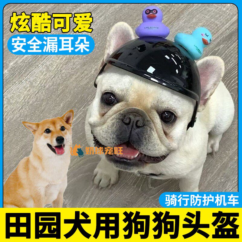 田园犬专用狗狗头盔宠物狗摩托车安全帽骑行电动车配饰装备中型犬