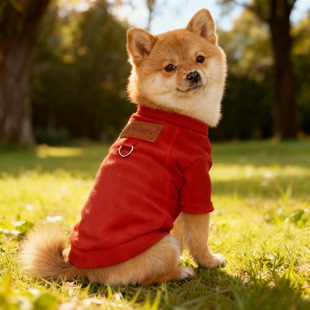 柴犬专用狗狗衣服幼犬小狗秋冬天卫衣秋季棉衣加绒加厚中型犬冬天