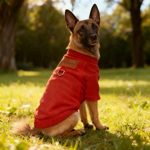 马犬专用狗狗衣服可牵引大型犬秋冬天棉衣秋冬季卫衣加绒保暖大狗
