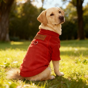拉布拉多专用狗狗衣服大型犬可牵引卫衣冬天加绒加厚棉衣小狗卫衣