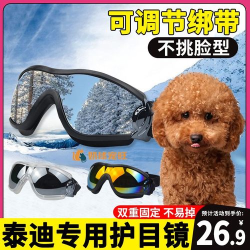 泰迪专用狗狗护目镜宠物配饰小狗墨镜防风眼镜小型犬太阳镜紫外线