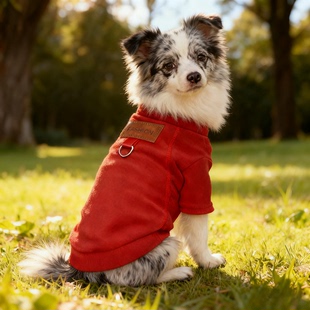 陨石边牧专用狗狗衣服大型犬秋冬天棉衣大狗卫衣加厚保暖可牵引