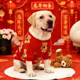 狗狗新年衣服大型犬过年喜庆棉衣春节加厚加绒保暖秋冬天金毛边牧