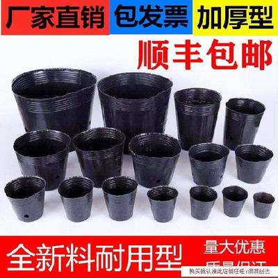。营养杯育苗盘大棚西瓜种子加密四季通用绿萝菜籽苗落地塑料盒