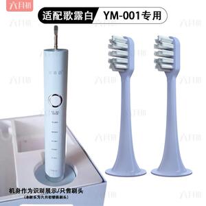 适配for歌露白/时光颜究所电动牙刷头YAMAN雅萌YM-001通用替换头